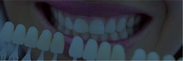 Marzelia WEB (1)-24